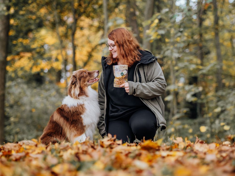 Eine Hund sitzt in der grünen Wiese neben ihm steht eine Packung „Wildes Land“-Hundefutter Rind, während der Hund aufmerksam daneben sitzt. Die Szene betont die Natürlichkeit und Qualität des Futters.