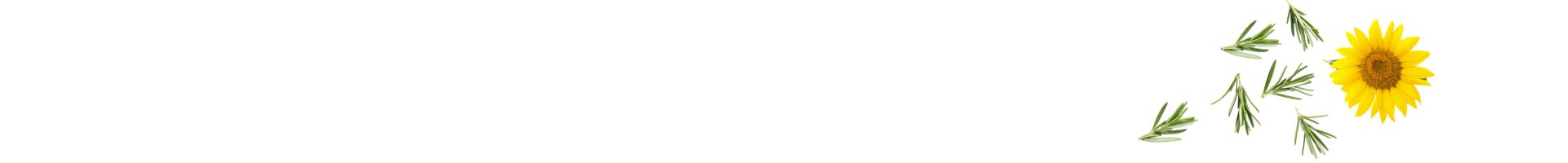 Seitentrenner: Eine kräftig gelbe Sonnenblume und grüne Rosmarinzweige auf weißem Hintergrund. Symbolisiert natürliche Inhaltsstoffe für gepflegtes Fell und gesunde Haut.