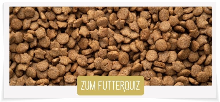 Zum Futterquiz