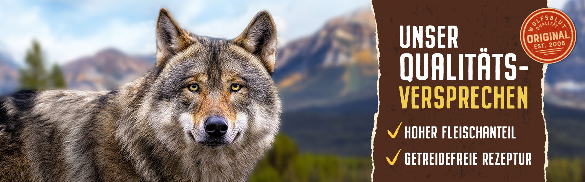 Wolf steht vor einem Wald