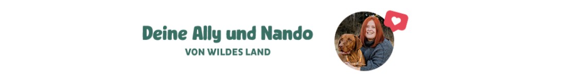 Deine Ally mit Nando