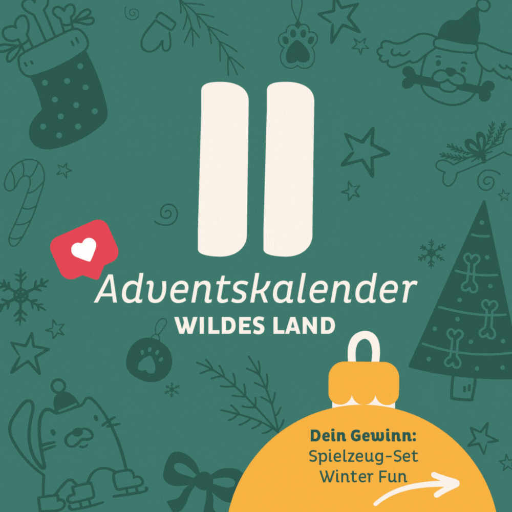 Adventskalender Wildes Land Türchen 11: Spielzeug Set Winter Fun von Laboni