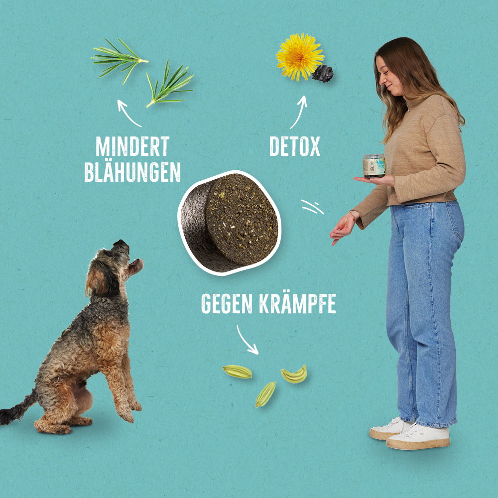 Ein Hund sitzt aufmerksam vor seinem Frauchen, die eine Dose „2in1 Snack BELLY“ hält, umgeben von natürlichen Zutaten wie Fenchelsamen, Löwenzahn und Rosmarin. Schlagworte wie „Mindert Blähungen“, „Detox“ und „Gegen Krämpfe“ heben die unterstützende Wirkung für Magen und Darm hervor.
