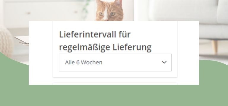 Lieferintervall