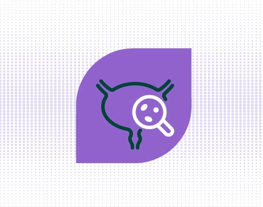 A simple line drawing of a bladder with a magnifying glass symbol in dark green on a purple leaf-shaped background, representing urinary or bladder health.