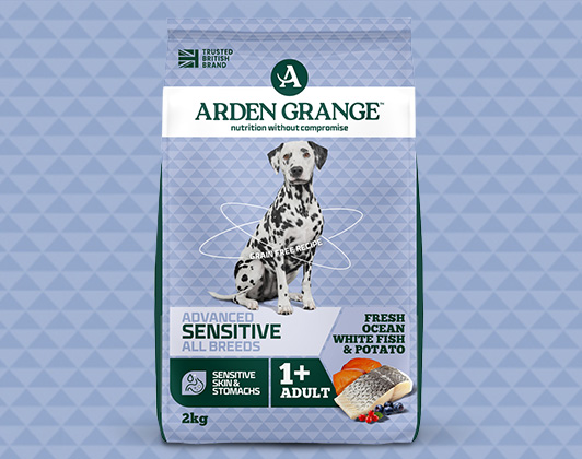 Bag of Arden Grange Sensitive Grain Free Adult dog food against a light blue patterned background. The packaging shows a Dalmatian and text reading “Rich in fresh fish – Maintenance and care diet – Naturally hypoallergenic – Made in the UK – With superfoods.”