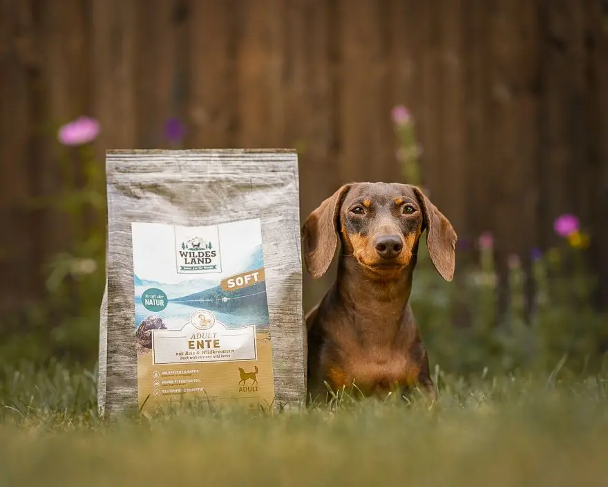 Brauner Dackel sitzt in einer Blumenwiese, neben ihm steht ein Sack Softfutter Ente von Wildes Land