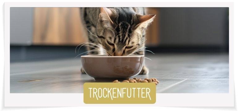 Trockenfutter Wildcat