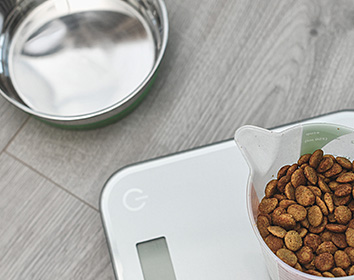 A measuring jug filled with dry dog food sits on a digital kitchen scale next to an empty metal pet bowl on a wooden floor.