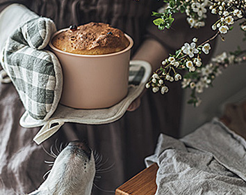 A person wearing oven gloves holding a freshly baked cake in a round pot, while a dog beneath the table stretches its nose upward to sniff it, with flowering branches and fabric nearby.
