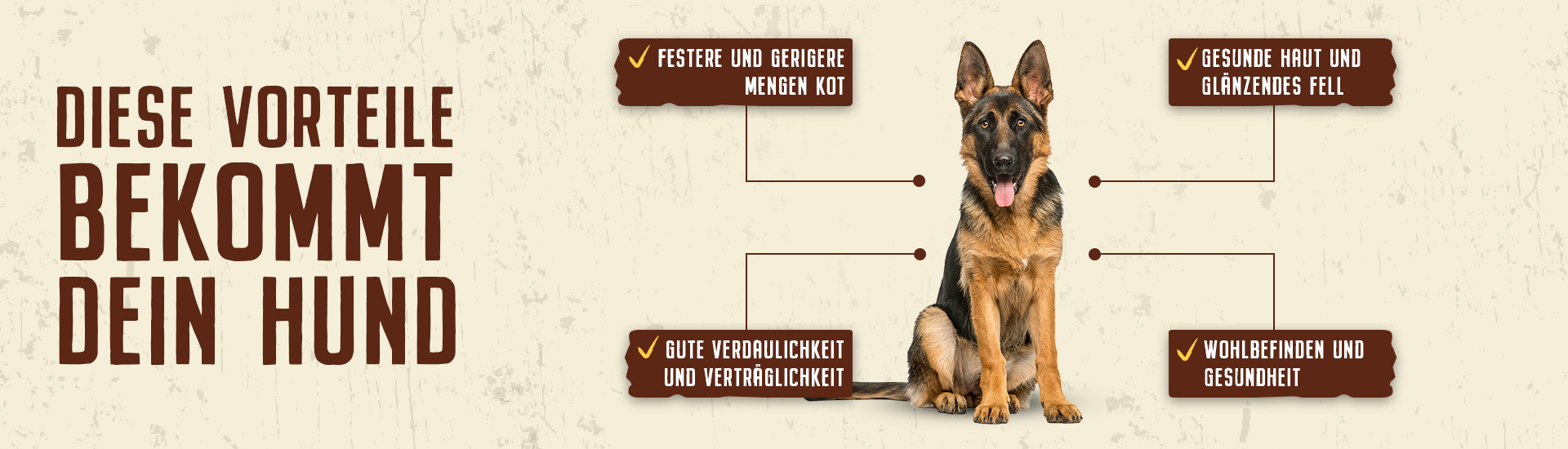 Mögliche Vorteile einer getreidefreien Ernährung