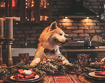 A fluffy dog wearing a bow tie sits at a festively decorated dining table with candles, greenery, and Christmas-themed decorations in a cosy kitchen with warm lighting.