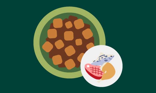 Illustration of a bowl filled with brown and orange pet food kibble. A smaller circular icon in the corner displays fish, meat, and a grain, indicating the food’s ingredients and a varied diet.