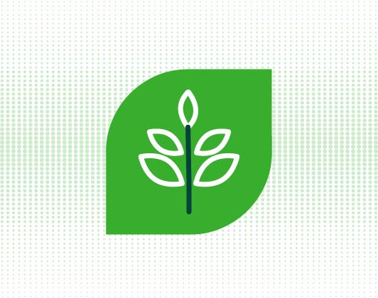 Green leaf-shaped icon featuring a simple plant with five leaves, symbolising natural ingredients or plant-based content.