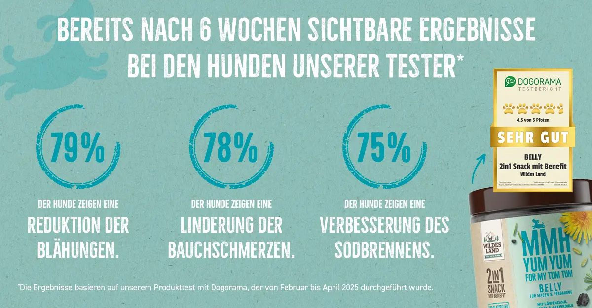 Das Bild zeigt den Wildes Land 2in1 Snack BELLY  für Hunde mit Testergebnissen: 78 % der Hunde zeigten eine Linderung der Bauchschmerzen, 79 % eine Reduktion der Blähungen, 75 % eine Reduktion der Blähungen und 73 % eine Verminderung des Durchfalls. Oben ist ein Testsiegel von Dogorama mit der Bewertung "Sehr gut" (4,5 von 5 Pfoten) abgebildet.